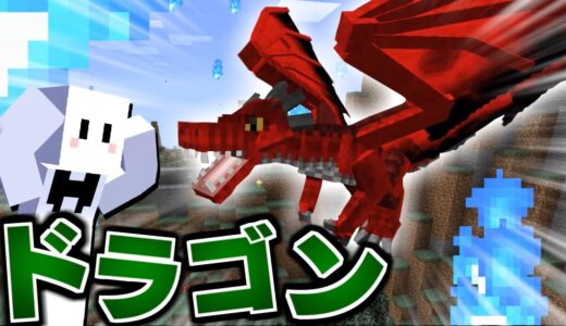 【マイクラ】ドラゴンだらけの世界で全てのドラゴンを飼いならす #1 ドラゴンMOD進化しすぎ【マインクラフト】