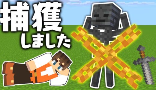 最強のアイツをネザー要塞から連れてきます!!ウィザースケルトン捕獲計画!!マイクラ実況Part337【マインクラフト】