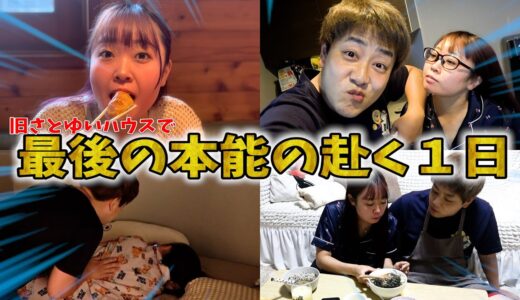 旧さとゆいハウスで最後に本能の赴くままに１日過ごしてみた！