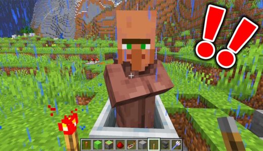 【マイクラ】ウィッチの作り方が面白すぎたwww