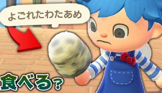 夏の新アイテム