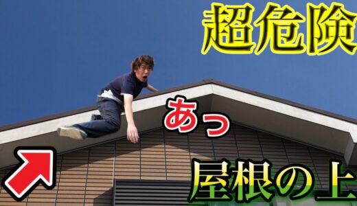 【放送事故】屋根の上で昼寝をしようとしたら足を滑らせて落ちました…