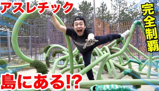 離島にある冒険型アスレチックにいったら見たことない生物が現れた！？
