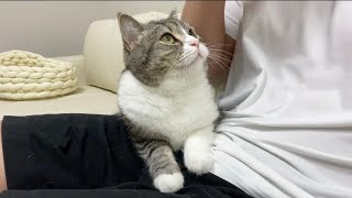 飼い主が突然泣き出したら猫が心配してこうなりました…