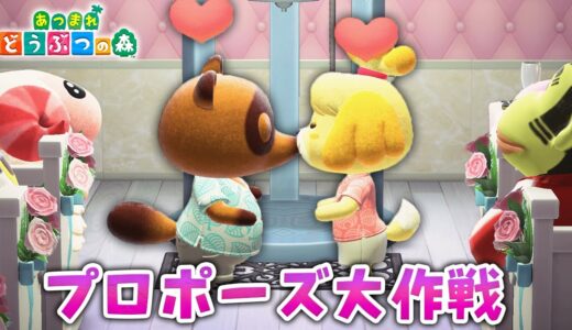 【あつ森】たぬきちがしずえさんにプロポーズ大作戦!!【あつまれどうぶつの森アニメ】