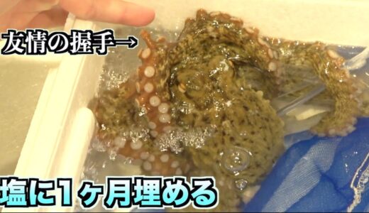 新事実ww踊り続けるタコを塩に埋めて1ヶ月放置するとみんなが知ってるアレになる。。。。