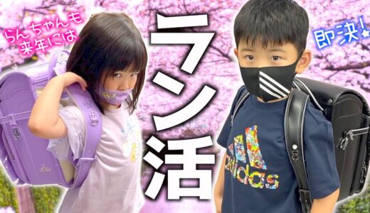 【ラン活】つばさ来年いよいよ新一年生！ランドセル選びに行ったら即決まりましたwらんちゃんも来年には・・
