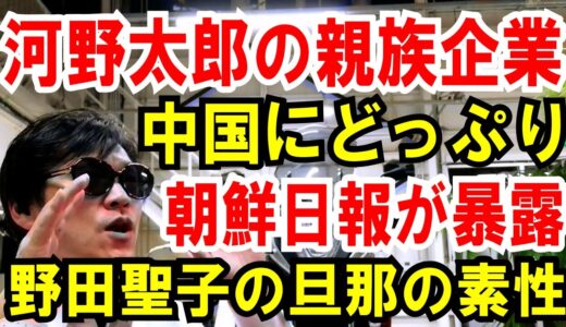 【河野太郎】激ヤバ！親族企業が中国にどっぷり【野田聖子】朝鮮日報が夫の素性を暴露