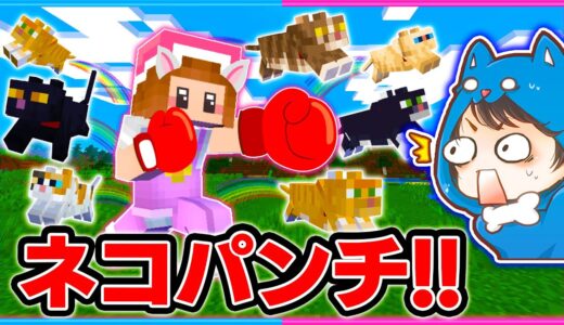 ネコパンチで敵を倒す剣でサバイバルしてみた結果！？🐱【マイクラ/まいくら】