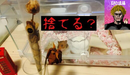 【事故物件】捨てた方が良いですか？