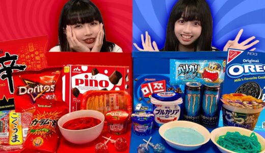 【検証】レッドVSブルーカラーチャレンジ！？24時間1色生活やってみた🍓🥝🍇🍑