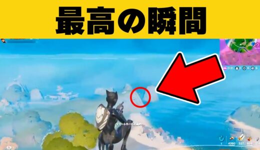 【神業】米粒サイズの敵をノンスコで倒す！！| フォートナイト “最高の瞬間”【#56】