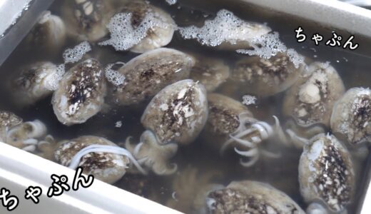 大量の魚介を買ってしまいました。そうだ！【アレ】を作ろう！！