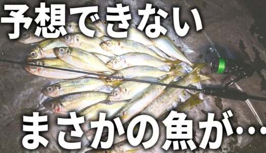 ヤバ過ぎる引き。良型アジが連発する中、まさかの魚が襲い掛かってきた！？秋の本気のライトゲーム。