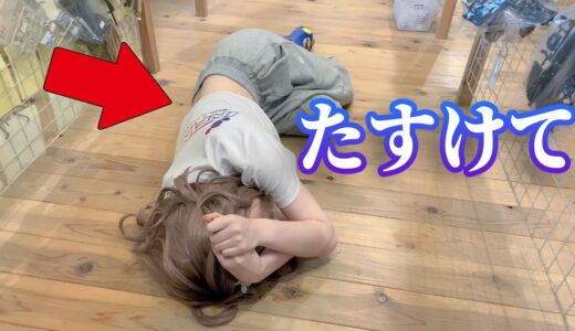 アレの出しすぎでYouTubeのアカウント消されそうです。マジで。