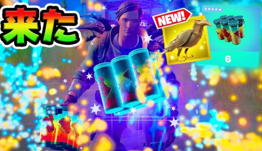 新エキゾチック！幻のカラス！アリーナリセット！アプデ情報まとめ！【フォートナイト】