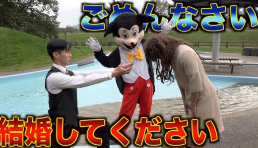 【フラッシュモブ】デュズニーランドで告白して振られる
