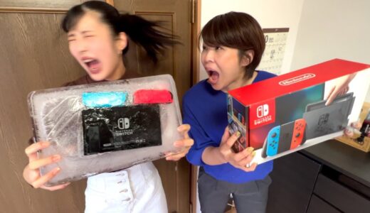 妹のスイッチ冷凍庫に24時間入れて凍らせてみた
