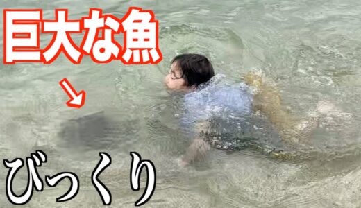 危ない！次男の近くに巨大な魚が！！｜三兄弟が海で暴れる