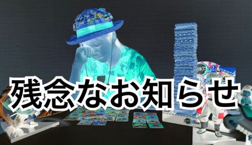【悲報】動画が消えました。
