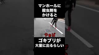 ゴキジェットをマンホールの中にかけるとゴキブリ大量に出てきた...妹に見せる #Shorts