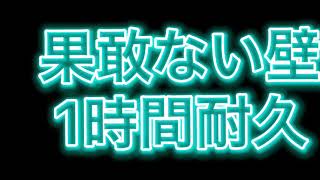果敢ない壁　1時間耐久