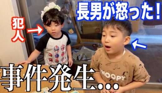 【喧嘩】こうだいが激怒…次男が作品を破壊して修羅場に。｜粘土で遊ぶ三兄弟