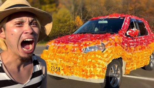 【ドッキリ】母の車を紅葉で塗装してみた