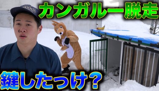 【動物園】おりの鍵を絶対に閉めない飼育員さん