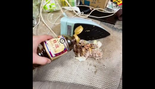 ベッドクッキング #おうち時間 #一人暮理#おすすめ #fyp #ハリツ #ハリツ