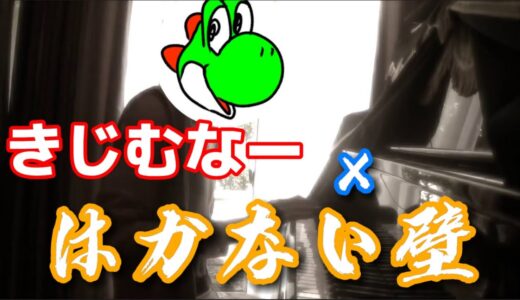 きじむなーの発狂で「はかない壁」【音MAD】