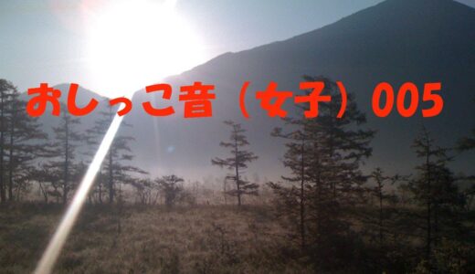 おしっこ音(女子)005