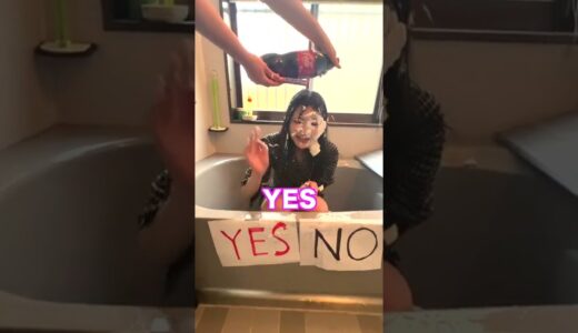 妹にYES or NOチャレンジやってみた。いる？いらない？ #Shorts