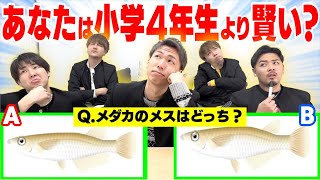 【解けて当然】クイズ！！あなたは小学4年生より賢いの！？