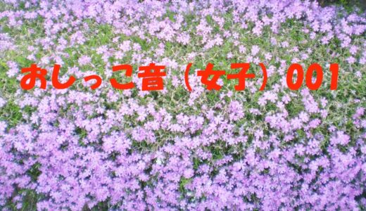 おしっこ音(女子)001