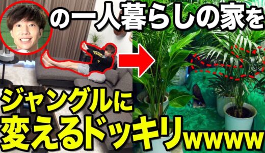 【ブチギレ】インテリア好きの兄の部屋を観葉植物まみれにしてジャングルにした結果wwwwwwww