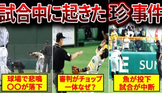 【予測不可】ヤバい珍事が勃発した稀有な試合4選が凄すぎる