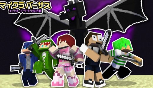 エンダードラゴンを協力して倒せ！！「ぷちぷち視点」『マイクラバーサス』【マインクラフト】