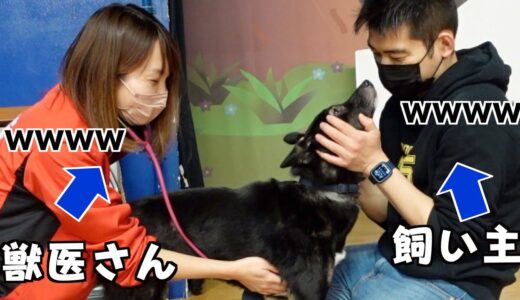 保護犬の健康診断で飼い主も獣医も笑ってしまった奇跡的な理由とは？