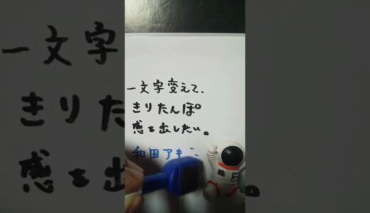 【きりたんぽ】和田アキ子を一文字変えて、きりたんぽ感を出したい。 #shorts #きりたんぽ