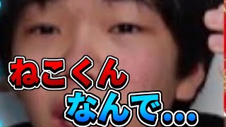 エルニーニョねこくん逮捕について