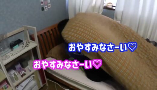【桐崎栄二】パパ活してたら嫁に行けなくなった妹