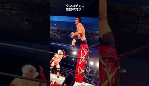 孫悟空はリングで試合する！