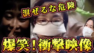 コレコレ爆笑！FROMロシアw集団ストーカーを訴える女〜インコおばさん【ツイキャス切り抜き】