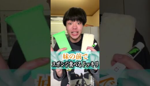 妹の前でスポンジを食べるドッキリしてみたwwwwww #shorts