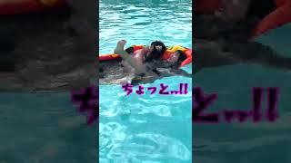 寝てる妹のボートを破壊して水に落としてみた #shorts
