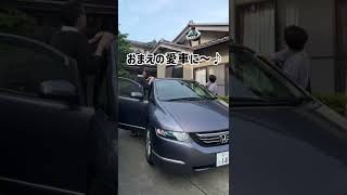 お父さんの車に コンクリートを落とす ドッキリ!#shorts #桐崎栄二