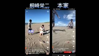 桐崎栄二と本家比べてみたら