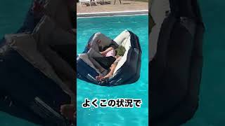 寝てる父と母のベッドを破壊して水に落としてみた #shorts