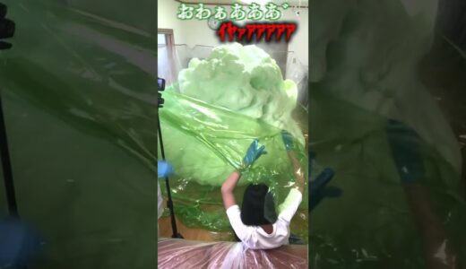 家を危険なヤバい実験で爆発させてみた【妹にドッキリ】 #shorts